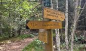 Trail Walking Saint-Bonnet-le-Courreau - Vallée de Chorsin  - Photo 4