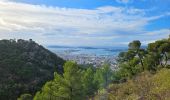 Trail Walking Toulon - Autour du Faron - Photo 8