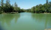 Trail Walking Saint-Félix-Lauragais - c2pa-lenclas-15/05 - Photo 1