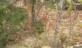 Trail Walking Pradelles - Tour sommets live de Pradelles  - Photo 4