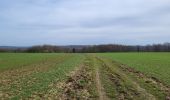 Tocht Stappen Anthisnes - Anthisnes 250225 - Photo 16