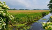 Excursión A pie Alt Zauche-Wußwerk - Wanderweg Kannomühle - Neu Zauche - Caminchen - Photo 8