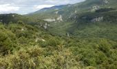 Randonnée Marche Buoux - Tour Vallon Aiguebrun 18km - Photo 1