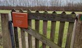 Tocht Stappen Veere - Se promener dans Westkapelle et dans les dunes  - Photo 3