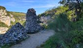 Randonnée Marche Buoux - Sivergues - Photo 11
