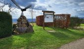 Trail Walking La Roche-en-Ardenne - Samree 190324 - Photo 11