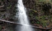 Tocht Stappen St. Märgen - Cascade Zweribach depuis Sankt Märgen - Photo 16