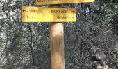 Trail Walking Saint-Laurent-le-Minier - L'oiselet par  Bresson - Photo 10