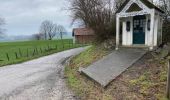 Tour Wandern Frasnes-lez-Anvaing - Oeudeghien 9,2 km - Photo 9