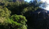 Randonnée A pied Tanneron - La chapelle de St Cassien des bois, le pont détruit et au fil de l'eau - Photo 2