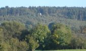 Trail On foot Durbuy - GrWandArd 18: Wéris land van dolmen en menhirs - Photo 3