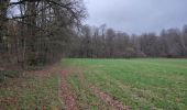 Trail Walking Meix-devant-Virton - Gite-de-gaume : Entre France et Belgique  - Photo 2