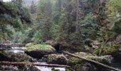 Randonnée Marche Charquemont - boucle autour des échelles de la mort - Photo 1