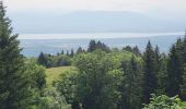 Tour Radtourismus  Mijoux - LES ROUSSES - COL DE LA FAUCILLE  - Photo 3