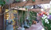 Trail On foot Castricum - Duindoornroute - Photo 2