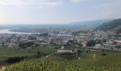 Tour Wandern Tain-l'Hermitage - Tain l’Hermitage Croze   - Photo 8