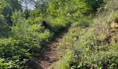 Tocht Stappen Virton - Trou des fées, Montauban & Fourneau Marchand - Photo 5