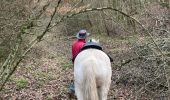 Trail Horseback riding Saint-Martin - Reprise Kaline Tivio  - Photo 8