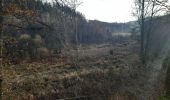 Trail Walking Lierneux - lierneux . promenade aérienne dans la vallee de la lienne - Photo 17