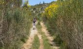 Trail Walking Biure - Biure  - Photo 6
