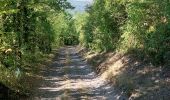 Trail Walking Flémalle - au roche flemalle  - Photo 18