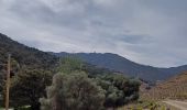 Percorso Marcia Port-Vendres - cospron - Photo 4