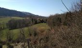 Trail Walking Montaud - DENT DE MOIRANS GROUPE 1 - Photo 9