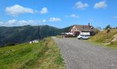Trail Walking La Bresse - Le Hohneck et ses lacs d'altitude - Photo 11