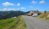 Randonnée Marche La Bresse - Le Hohneck et ses lacs d'altitude - Photo 11