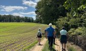 Trail Walking Saint-Hubert - Awenne - Photo 10