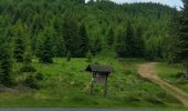 Excursión Bici de montaña Le Saulcy - sortie vtt du 26052018 - Le Saulcy - Photo 10