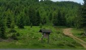 Randonnée V.T.T. Le Saulcy - sortie vtt du 26052018 - Le Saulcy - Photo 10