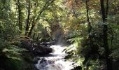 Tour Wandern Jalhay - Vallée de la Hoëgne  - Photo 12