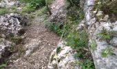 Trail Walking Châtelus - 38 pabro charmatte - Photo 8