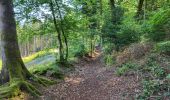 Trail Walking Meix-devant-Virton - Gerouville 060723 - Photo 3