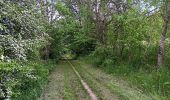 Trail Walking Anthisnes - La Rock . bois de Comblain . Sparmont - Photo 10