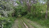 Percorso Marcia Anthisnes - La Rock . bois de Comblain . Sparmont - Photo 10