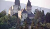 Tour Zu Fuß Gemeinde Raach am Hochgebirge - Eiben Rundwanderweg (Schlagl) - Photo 5