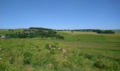 Excursión Senderismo Landeyrat - Cantal - Landeyrat - La Roche - 12km 180m 3h35 - 2019 06 28 - Photo 1