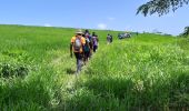 Tour Wandern Basse-Pointe - boucle basse pointe - Photo 2