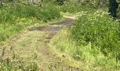 Excursión  Guérande - Guerande/la turballe - Photo 1