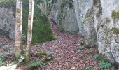 Trail Walking Cour-Saint-Maurice - battenans - Photo 4