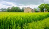 Randonnée Marche Chaumont - Boucle 31 km autour de Chaumont - Photo 3