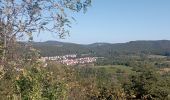 Trail Walking Bundenthal - baerensteig bruchweiler baerenbach - Photo 12