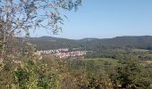 Tocht Stappen Bundenthal - baerensteig bruchweiler baerenbach - Photo 12