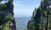 Randonnée Marche Tejeda - Pico de las Nieves (Gran Canaria) - Photo 15