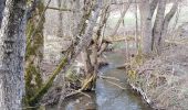 Excursión A pie Zimmern ob Rottweil - Rottweil - Schramberg - Photo 10