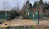 Tour Wandern Martot - Forêt Bord Martot 10 km - Photo 1