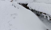 Percorso Racchette da neve Belmont - cascade de la serva - Photo 7