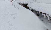 Tour Schneeschuhwandern Schönenberg - cascade de la serva - Photo 7